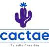 Cactae - Estudio Creativo